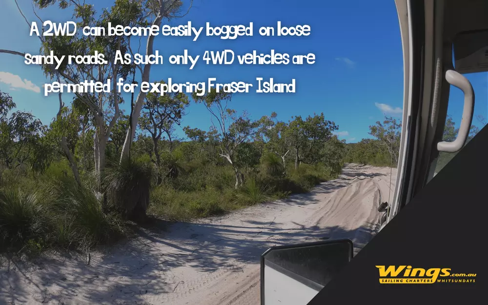 getting around Fraser Island is best done with a 4WD