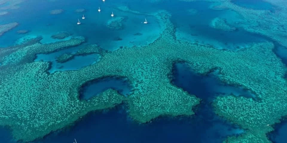 Great Barrier Reef facts