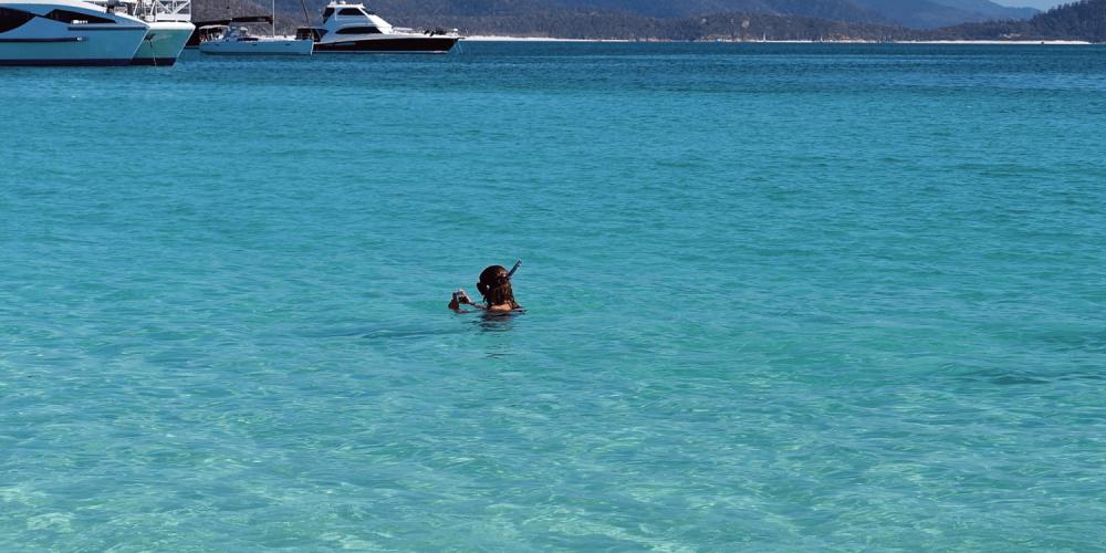 best times to visit whitsundays